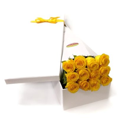 DOZEN YELLOW ROSES IN PRESENTATION BOX