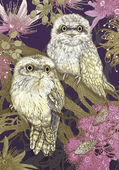 Frogmouths Birds Greeting Card A26