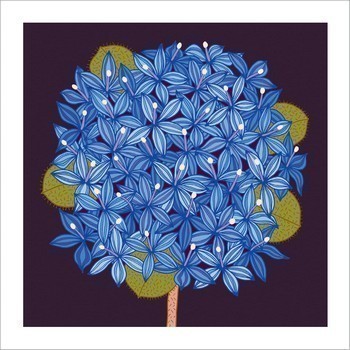 Blue Pin Cushion Native Plant Greeting Card