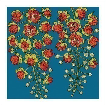 Brewster's Cassia Native Plant Greeting Card