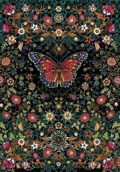 Butterfly Greeting Card C8