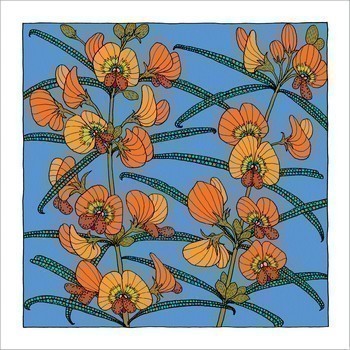 Pea Flowers Native Plant Greeting Card