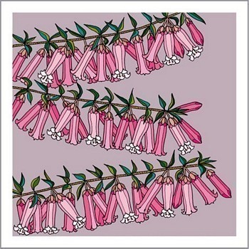 Pink Heath Native Plant Greeting Card