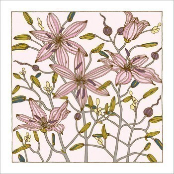Pink Lilies Native Plant Greeting Card