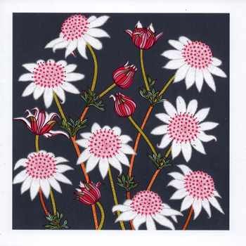 Pink Flannel Flowers on Plum Native Plant Greeting Card