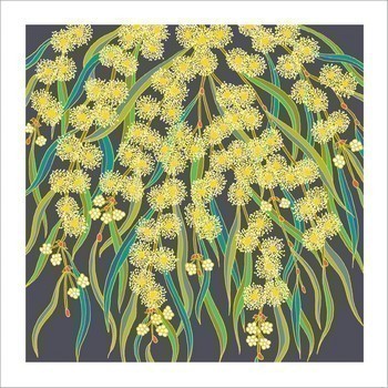 Scented Wattle Flowers Native Plant Greeting Card