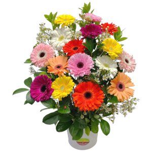 A colorful gerbera-filled vase, stunning flowers arrangement
