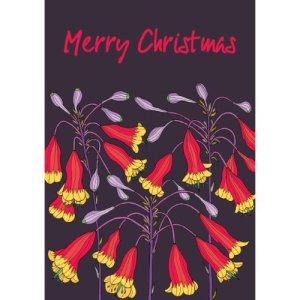 Christmas Bells Native Plant Christmas Cards