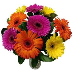 Vibrant gerbera flowers in a vase.
