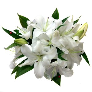 Beautiful bouquet of white lilies