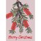 Red Bottlebrush Native Plant Christmas Cards