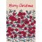 Red Feather Flowers Native Plant Christmas Cards